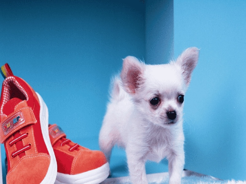 刘女士成功案例